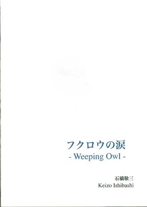 石橋敬三「フクロウの涙-Weeping　Owl-」